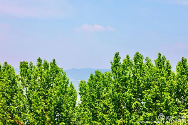 李庄黄河大堤风景区，黄河边青山绿水