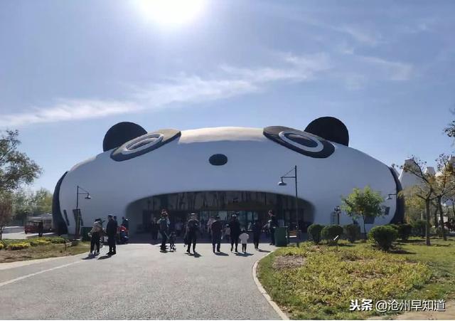 沧州有什么可以游玩的景点，沧州最新最全旅游攻略