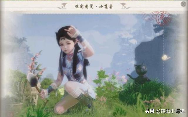 剑网三宠物游历图鉴，剑网3版旅行的青蛙