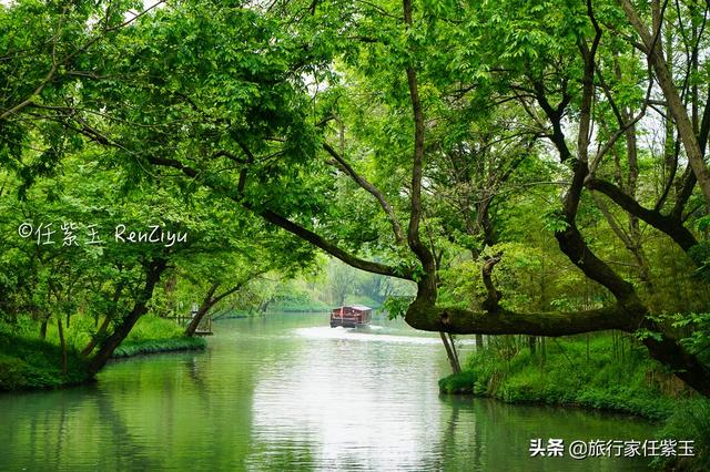 杭州西溪湿地旅游建议，湿地之美丨杭州西溪湿地