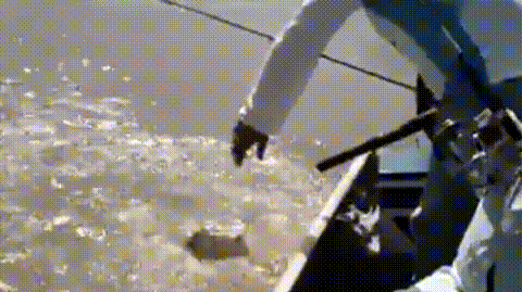 鳄鱼为什么流眼泪，为什么鳄鱼捕食的时候会流眼泪（鳄鱼在捕食时为何会流泪）