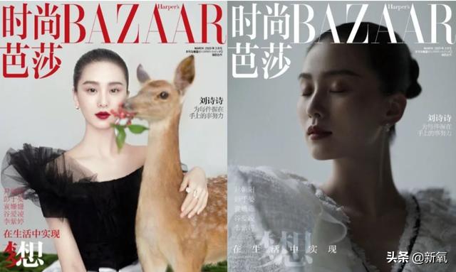 刘诗诗几岁开始化妆，刘诗诗被化妆师坑惨了