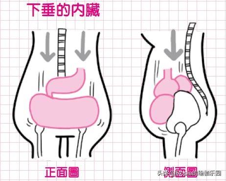 顯胖5斤的小肚子你有嗎？找對成因堅持3步，解鎖喬欣同款好身材 健身減肥達人 第19张