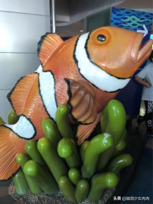 上海海洋水族馆，上海海洋水族馆简介（上海海洋水族馆之旅暨神奇鱼类在哪里）