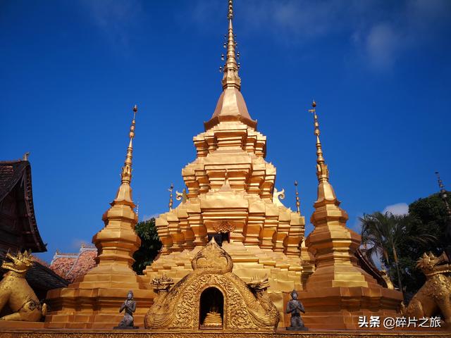 这个夏天总要来一趟西双版纳，追寻自然的呼吸