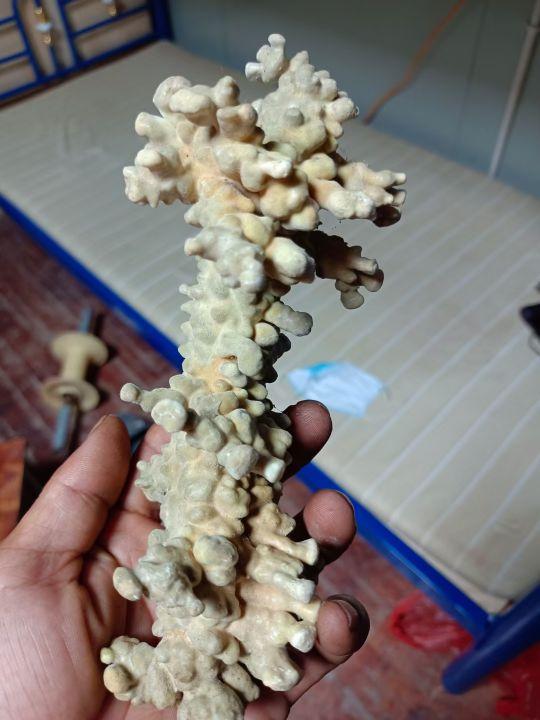 为什么很多人去印尼打工，记录印尼打工生活点滴