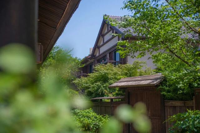 拈花湾攻略必去景点，1600亩拈花湾樱花海