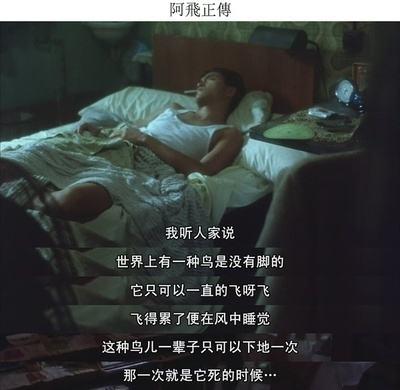 张国荣和刘德华，张国荣与刘德华之间的关系（他们最大的遗憾就是没有跟杨紫琼合作过）