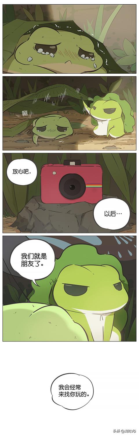 青蛙日常漫画大全，漫画：一只青蛙的午觉