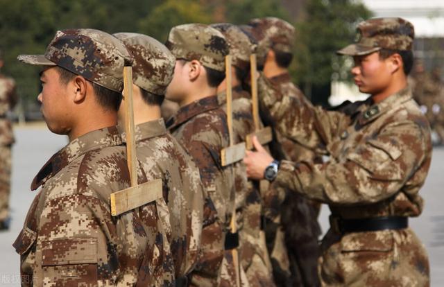 直招士官如何要不要报名，直招士官与义务兵详细对比