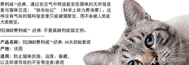 猫咪比较好的零食，提高猫咪生活质量