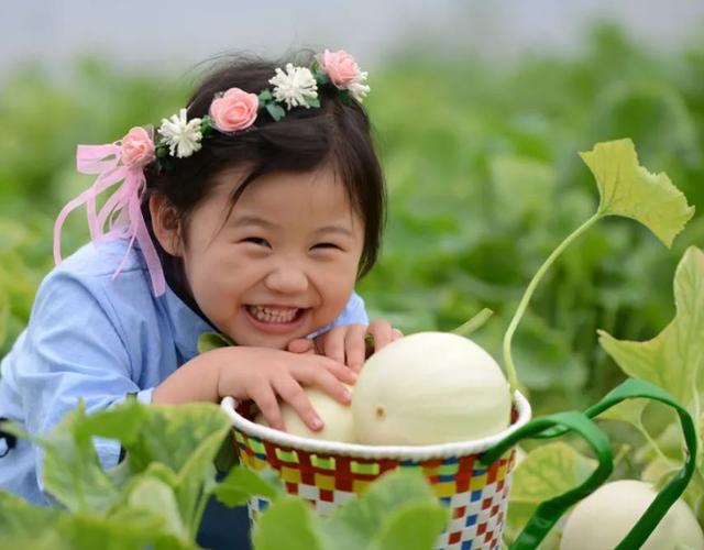 相见恨晚的5大珍果，四季珍果（相见恨晚的5大水果）