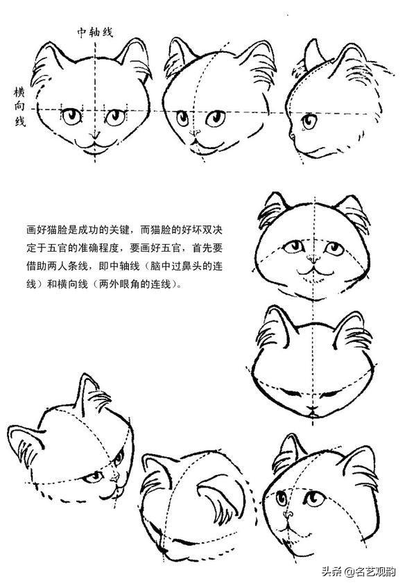 100种小猫怎么画，100种画真猫的画法（教你在纸上养个主子）