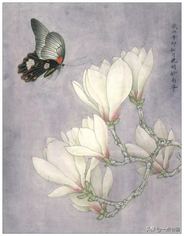 工笔荷花白描，高清工笔荷花白描 110幅