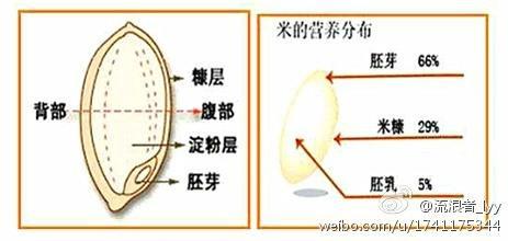 胚芽米的营养价值与功效及禁忌，原来平时吃的米营养这么低