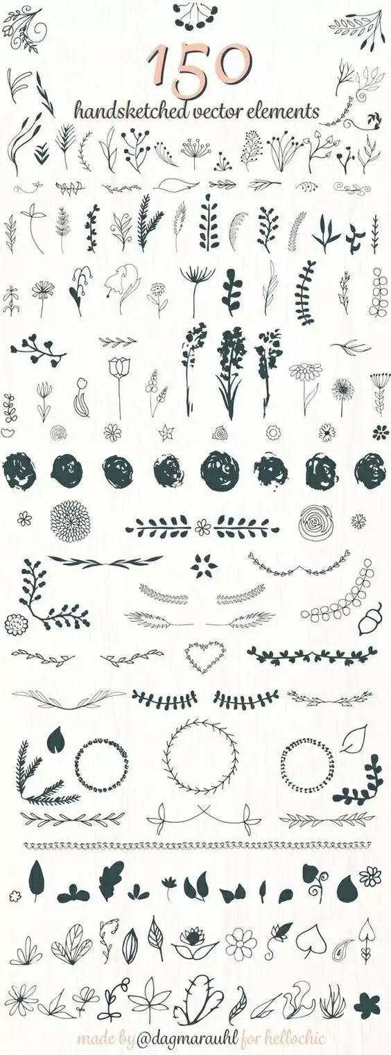 植物手抄报超级简单，植物手抄报小素材