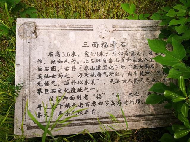 泰州溱湖湿地公园，江苏溱湖国家湿地公园（泰州溱湖国家湿地公园）
