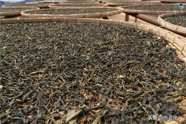 手工制茶的六个步骤，南茗佳人手工制茶过程全公开