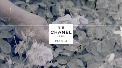 香奈儿香水系列介绍，香奈儿各系列香水区别