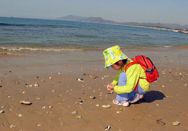 海陵岛红树林赶海攻略，海陵岛不只有碧海银沙