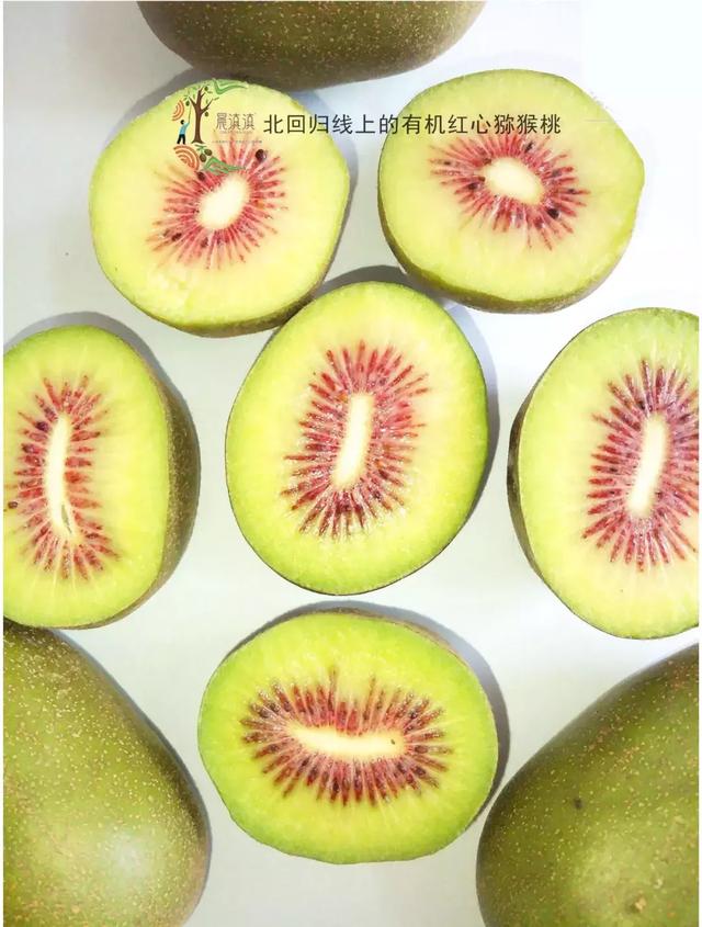 吃过云南这十种名果的人，云南十种野果吃法