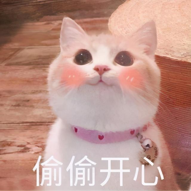 猫能吃什么东西，猫咪能吃的食物都有什么
