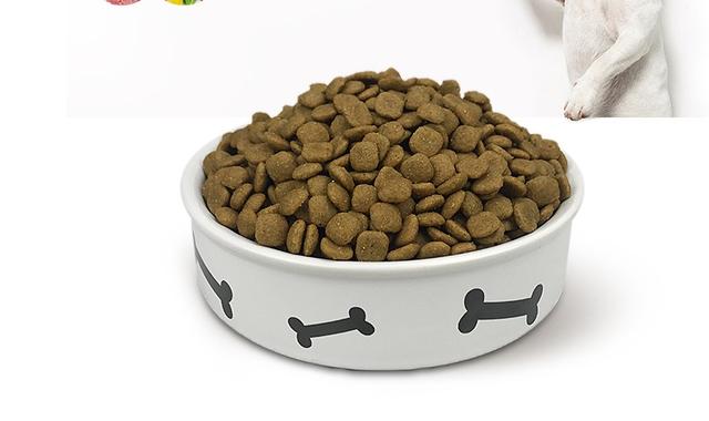 养边境牧羊犬的优点和缺点，饲养边境牧羊犬