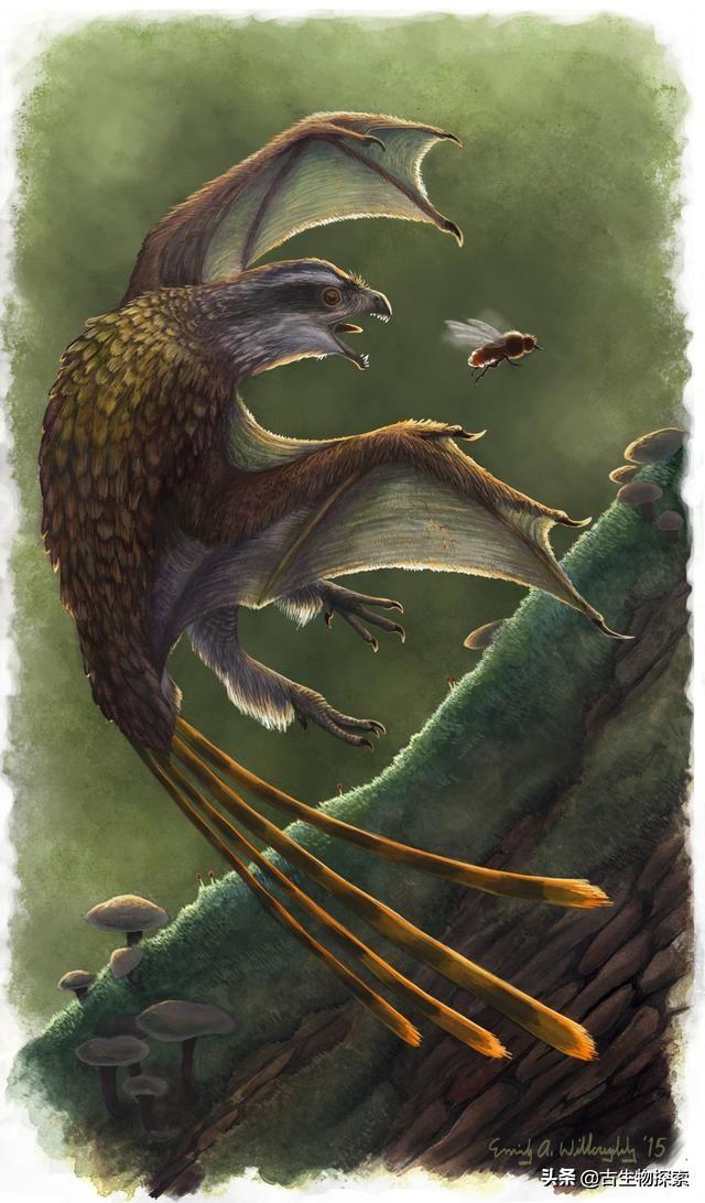 恐龙种类中脖子最长的腕龙，长颈巨龙的杰出代表