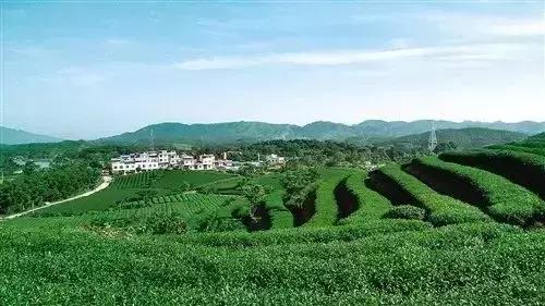 福州到厦门高铁，福州至厦门高铁运行时间