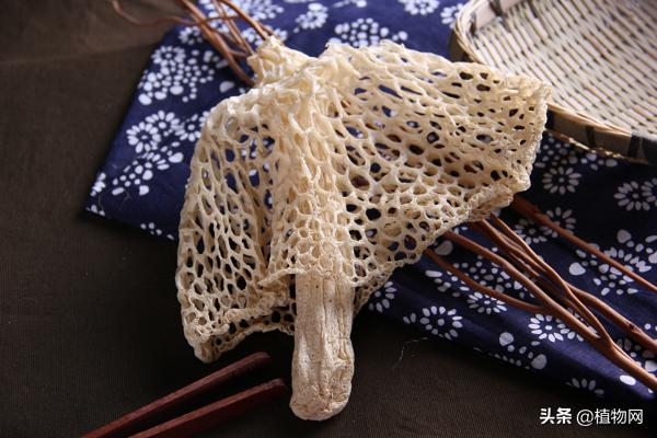 竹荪蛋花最佳做法，竹荪里加3个鸡蛋