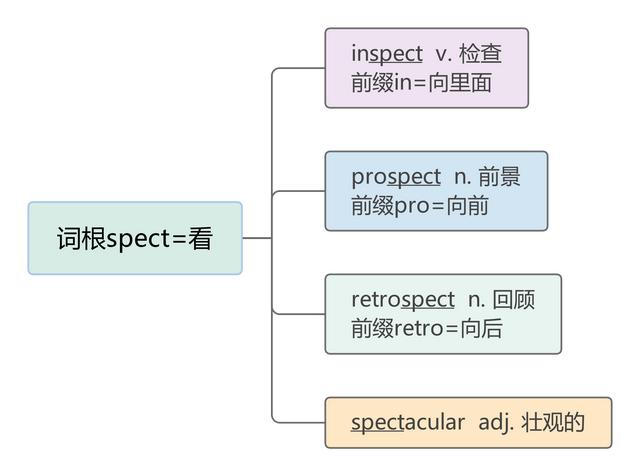 spect词根，词根tract表示什么（词根——spect）