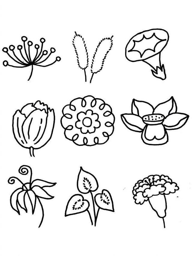二十种花朵简笔画,花朵简笔画彩色