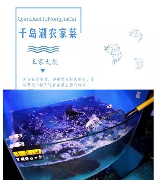 合肥胖头鱼(合肥胖头鱼收购电话)
