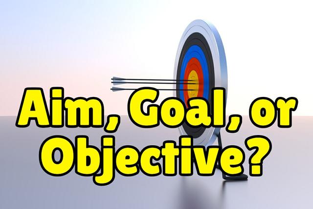 goal什么意思，goal和objective哪个好