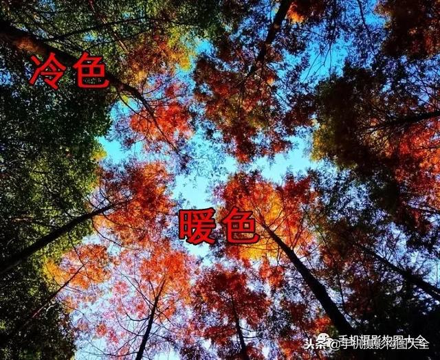 手机摄影技巧大全，干货18个不得不学的手机摄影技巧