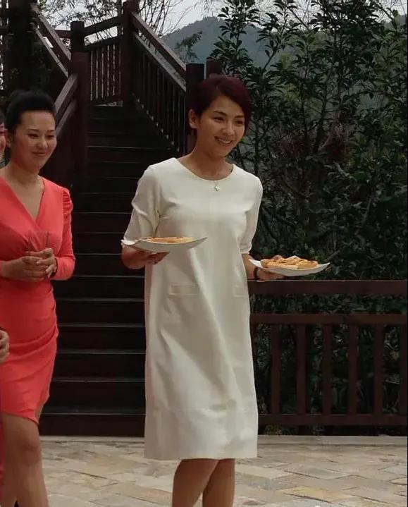 王茜主演的电视剧，精选张嘉译六部经典电视剧