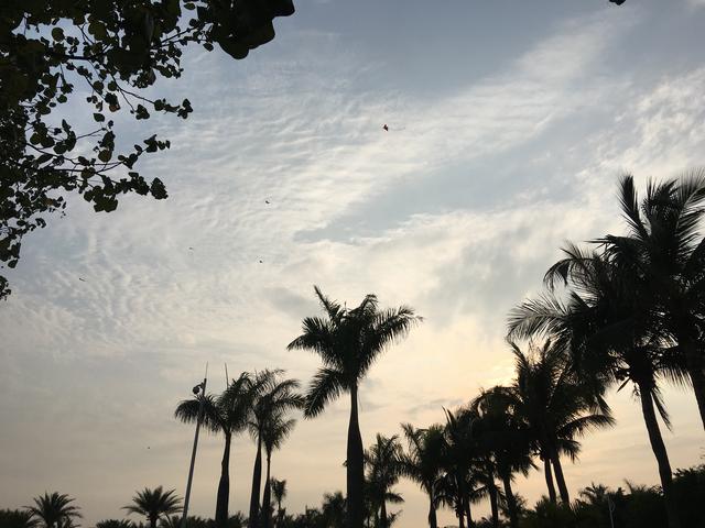 广州哪里可以看海，广州旅游看海的地方（广州这些“无敌海景”碧道藏不住了）