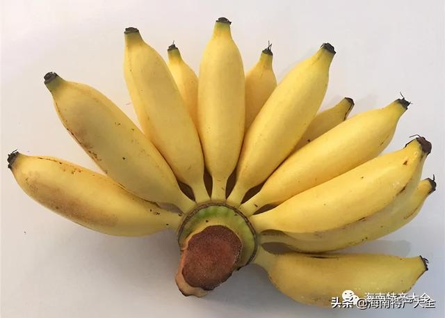 热带水果图片名称大全，海南10种热带水果（海南热带水果全介绍）