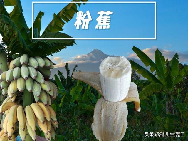 香蕉还能这样吃好看又好吃，你了解它们的品种吗