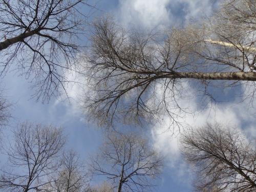 鲁迅故乡的故事有哪些，鲁迅先生的故乡