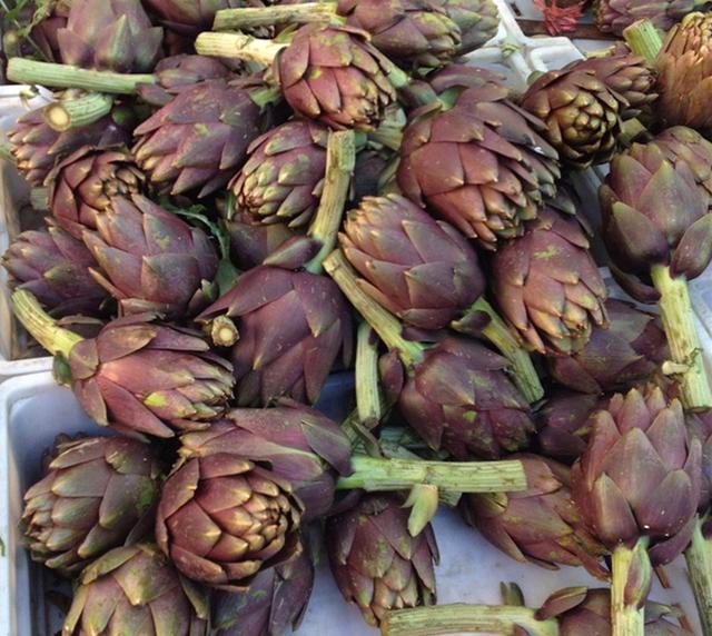 蔬菜价格一览表，农村4种蔬菜价格表（今日河南部分蔬菜最新价格）