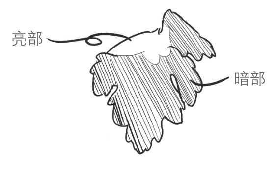 菊花的初学画法，适合零基础学习的菊花三种画法教程