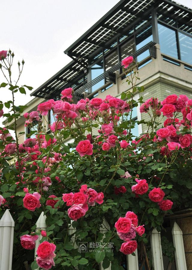 小型太阳能发电系统，家用太阳能发电系统介绍（看看无良公司是如何欺骗农户的）