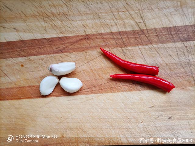 蚕宝宝除了吃桑叶还喜欢吃什么，蚕宝宝的一日三餐