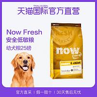 可爱的柯基怎么养成的，一步到位教你养好柯基狗