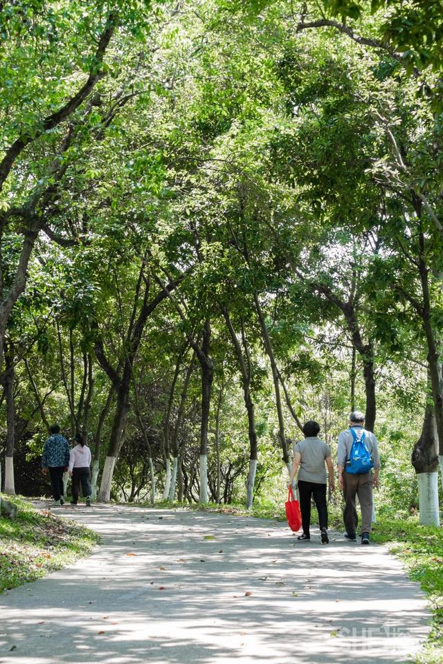 深圳旅游攻略景点推荐，深圳十条旅游路线（不完整的旅游景点和美食选择）