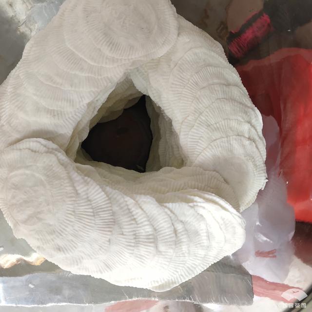 顺德美的万豪酒店，顺德10家有名的美食（大湾区的朋友不妨来顺德开启一趟微度假之旅）