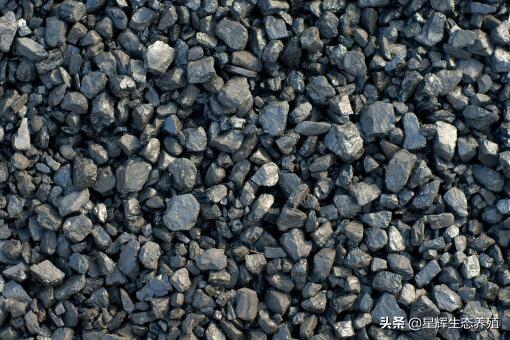 民用碳现在多少钱一吨（民用取暖煤炭价格）