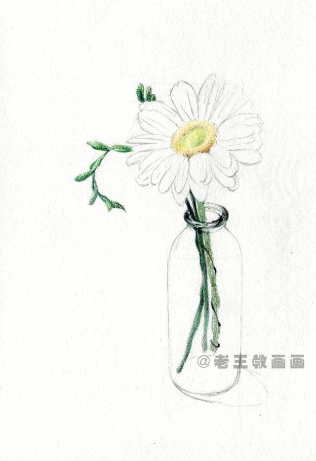 菊花又简单又好看怎么画，菊花画法及步骤