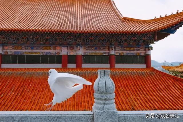 化州在哪里呀，你好化州